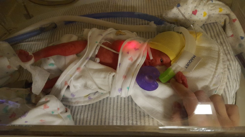 Resized_20171118_154453